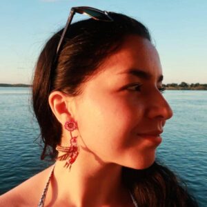 SUNSET BREEZE — Hummingbird Earrings